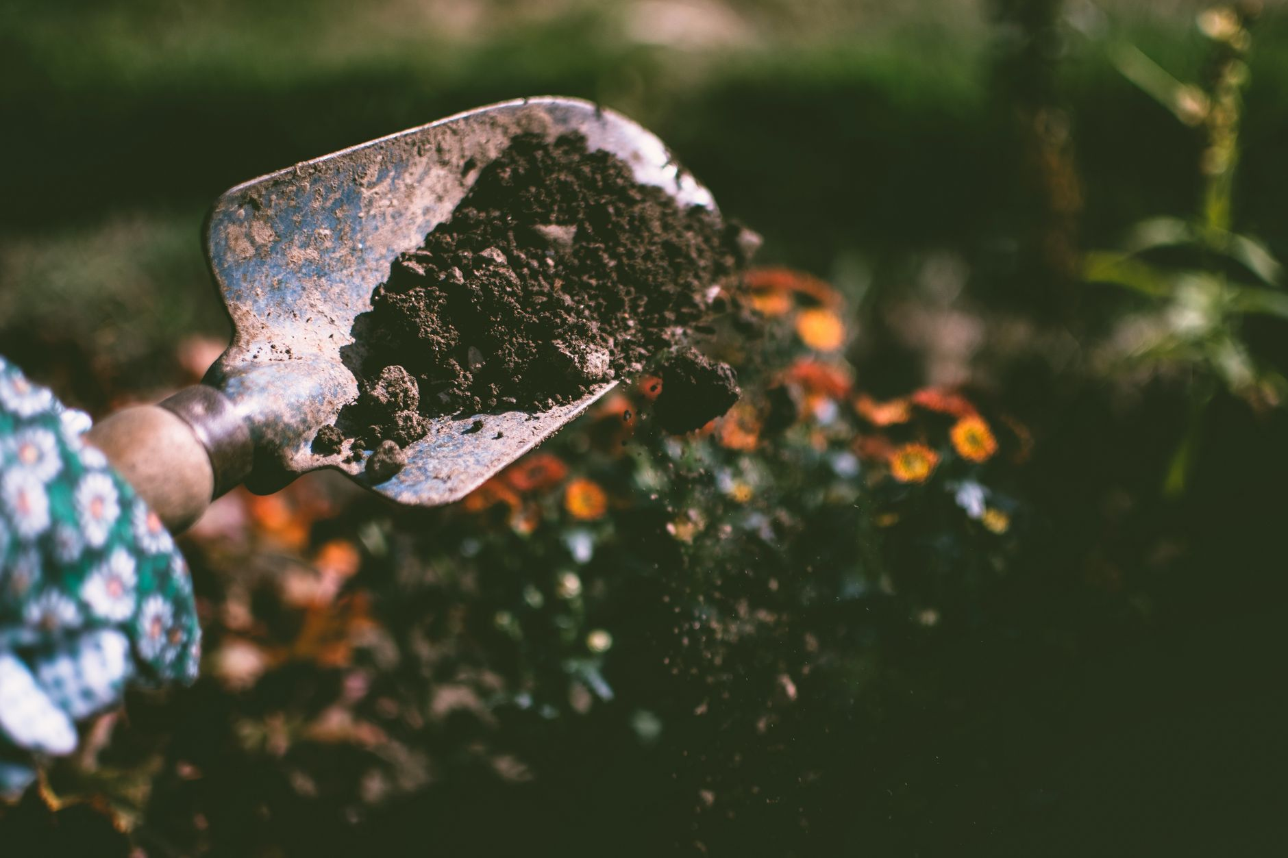 Il giardino che misura il silenzio del suolo: come la bioacustica sotterranea sta rivoluzionando la scelta del substrato nei giardini rigenerativi della Toscana