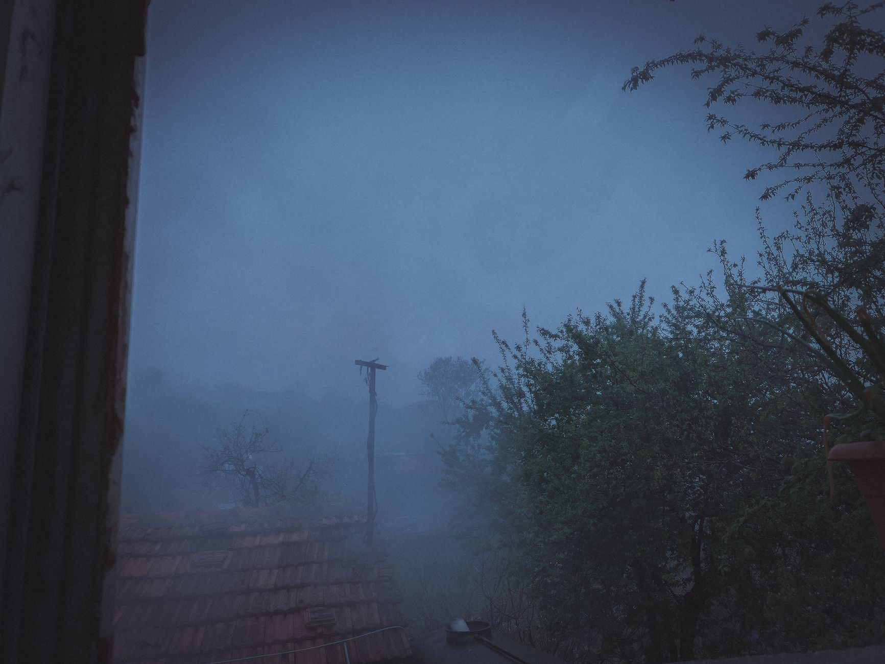 Il giardino che beve dalla nebbia: come la raccolta idrica per condensazione sta ridisegnando le palette vegetali nei giardini pensili delle città liguri
