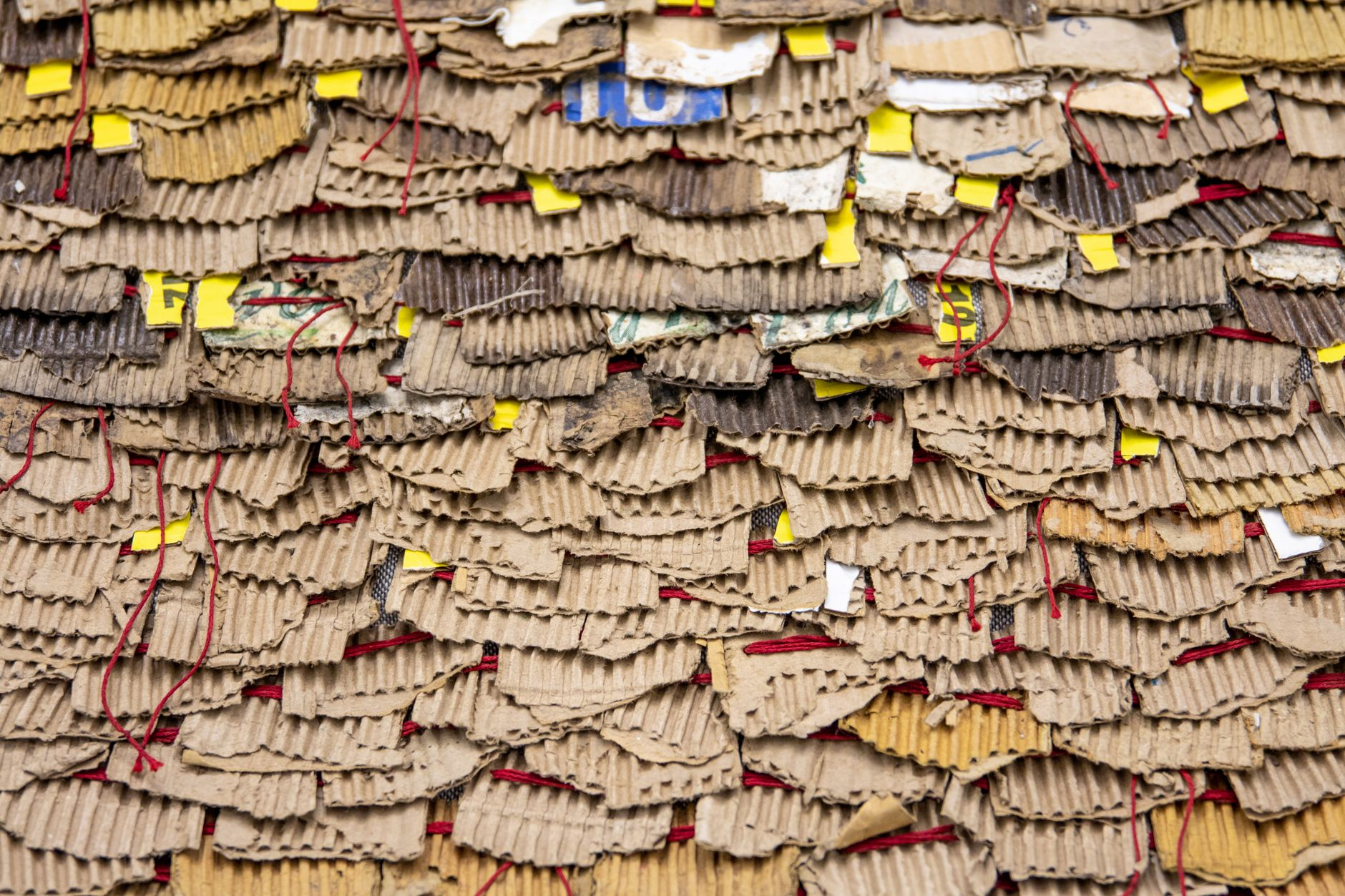 Il cartone che non torna carta: come la separazione delle fibre corte negli scarti degli imballaggi ondulati sta rivoluzionando il riciclo del packaging alimentare nel distretto cartario di Lucca