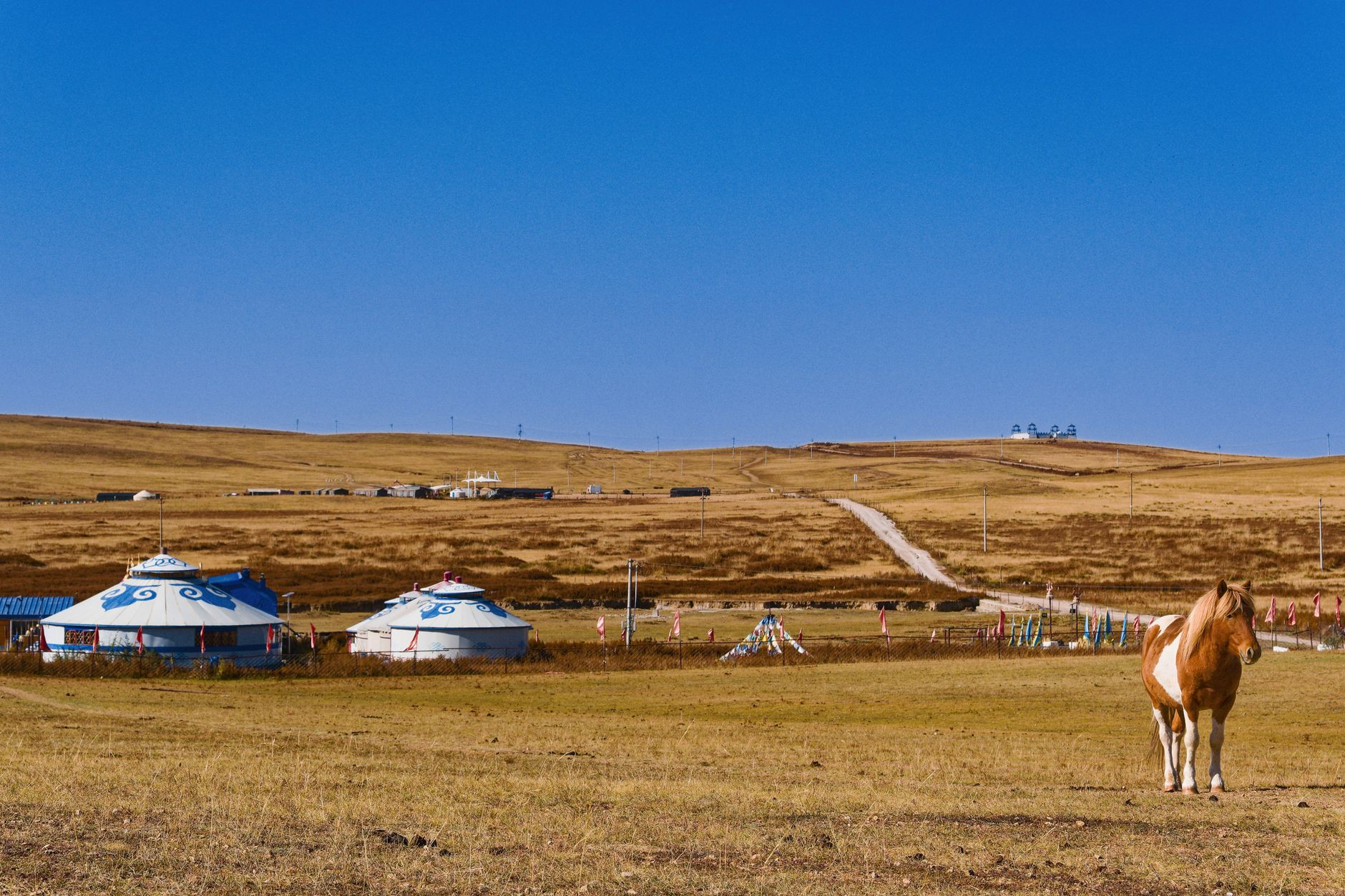 dirt road Mongolian grassland steppe