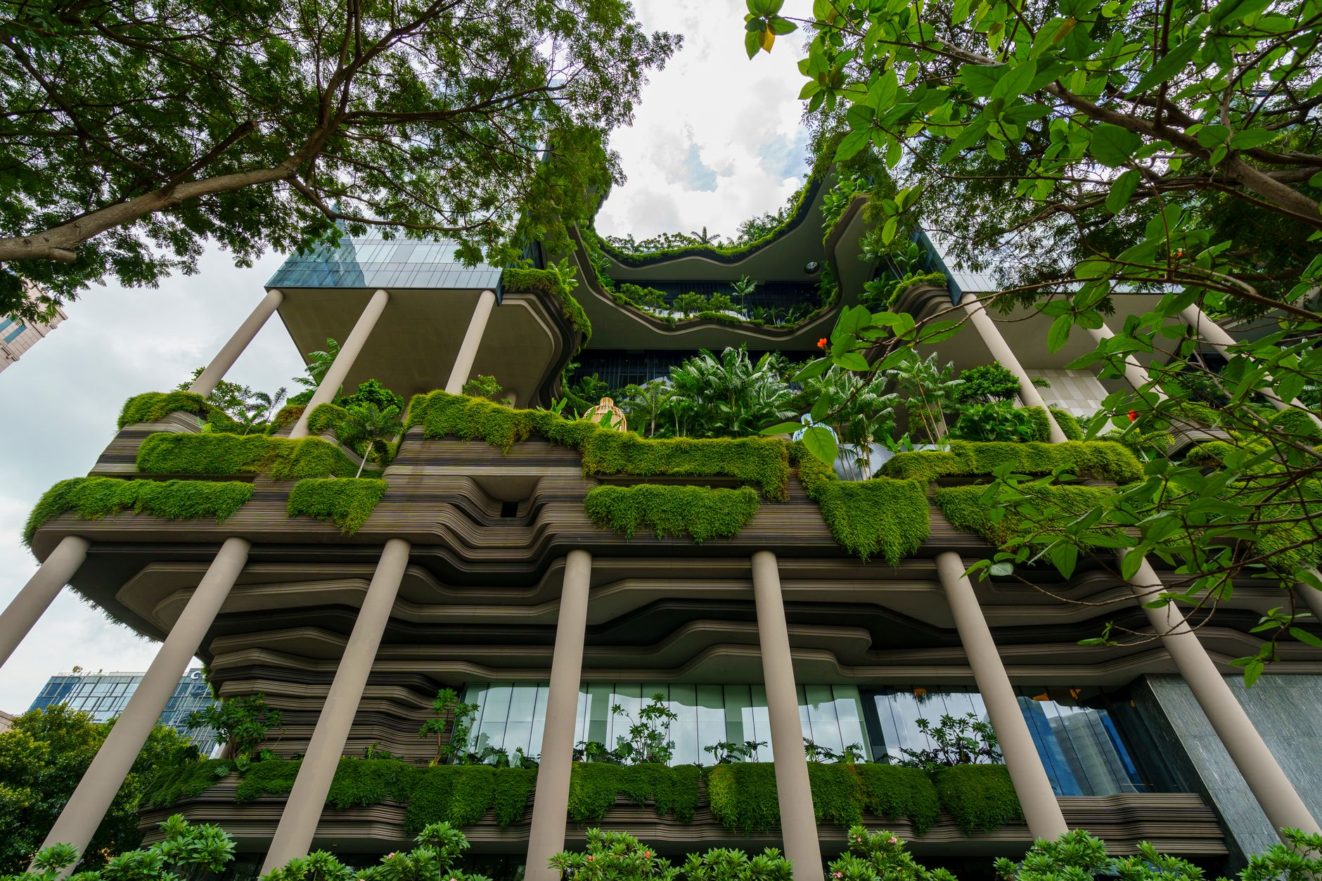 biophilic design architecture AI