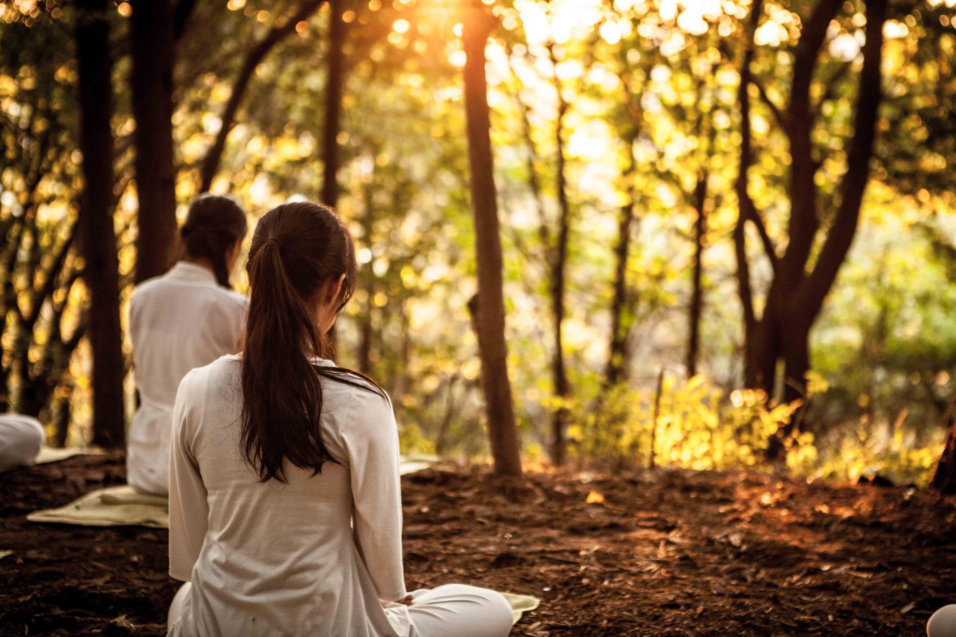 Mindfulness in natura per genitori e caregiver: uno studio misto