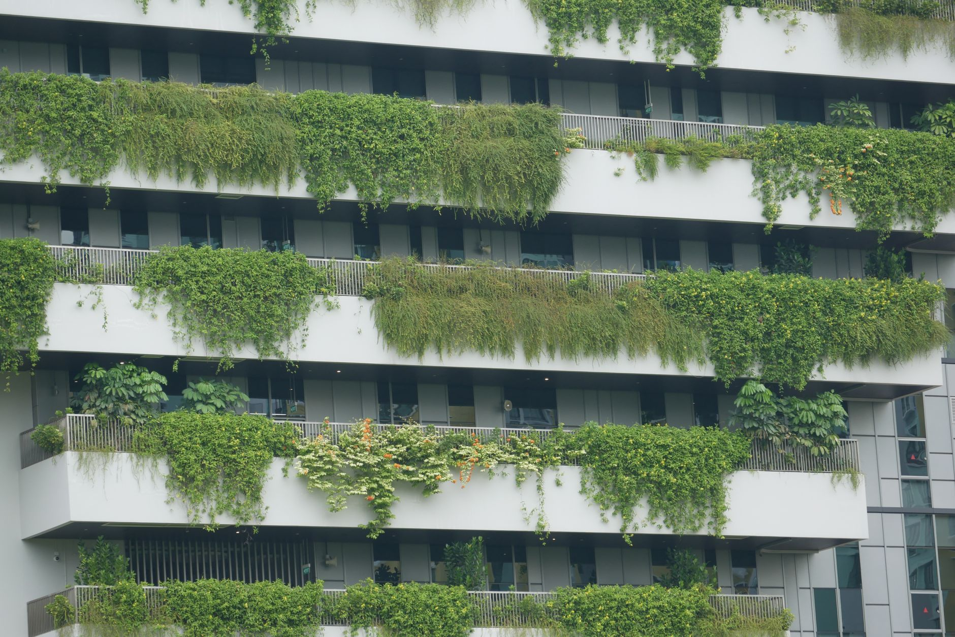 vertical garden urban building