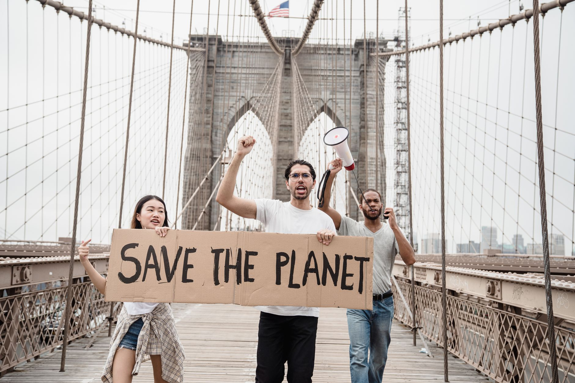 environmental law civic engagement