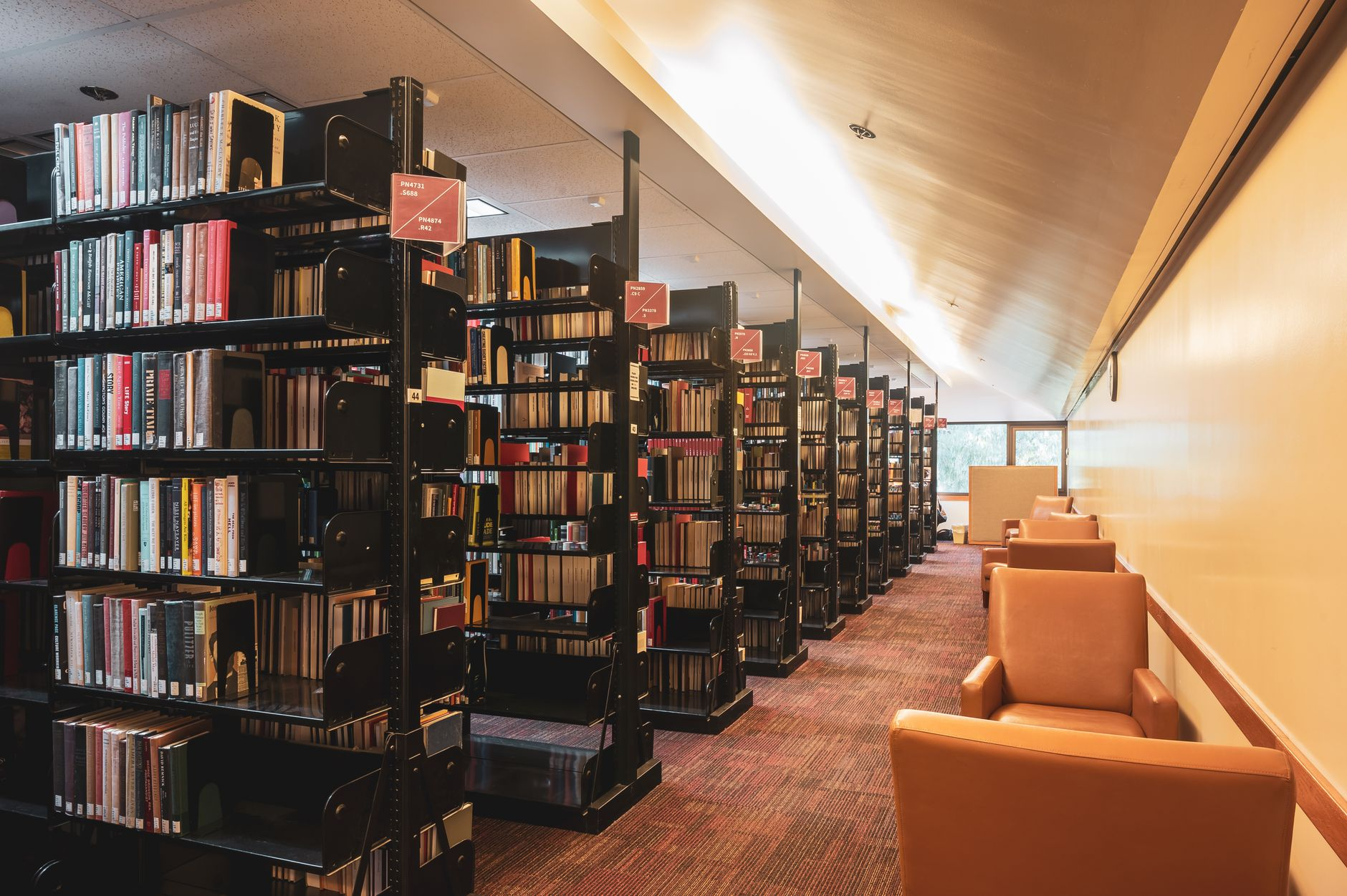 university library wellness relaxation space